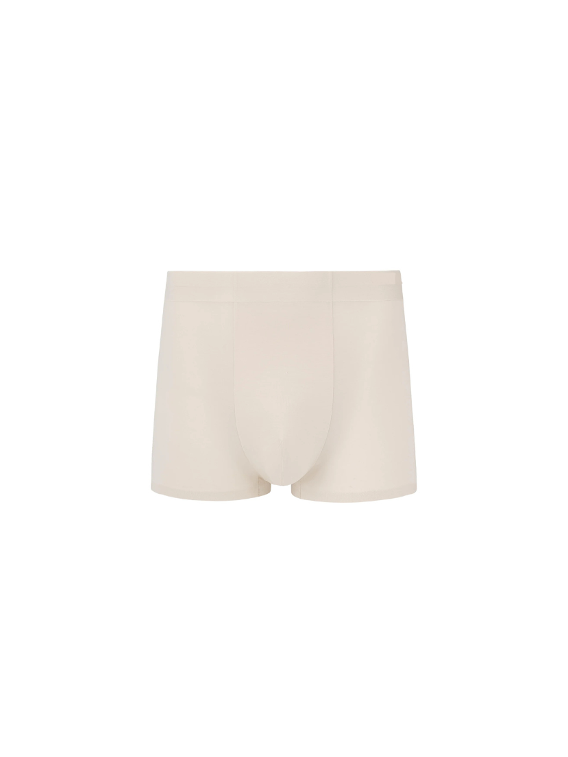 Men's Modal Brief